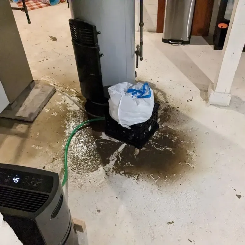 Sewage Backup Cleanup Service in Cherokee, IA